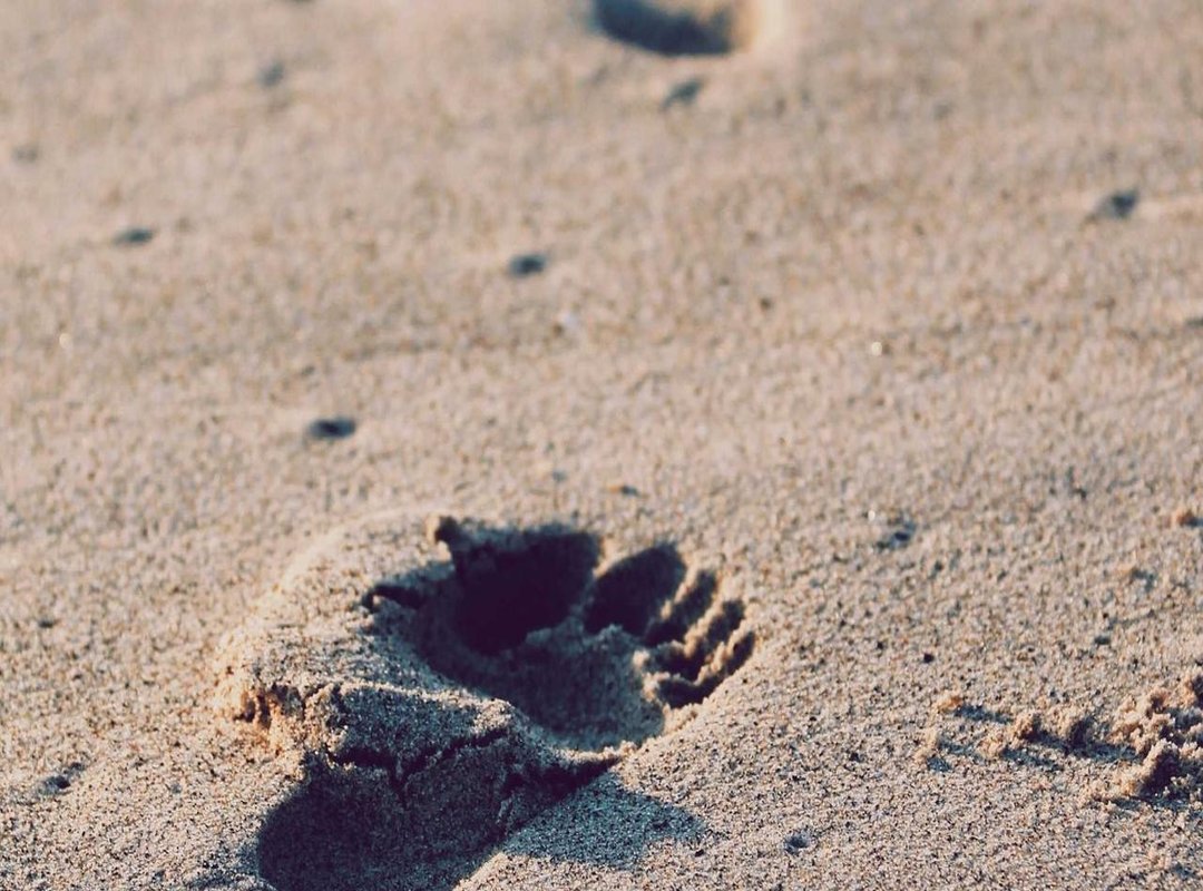 Your First Visit: What to Expect