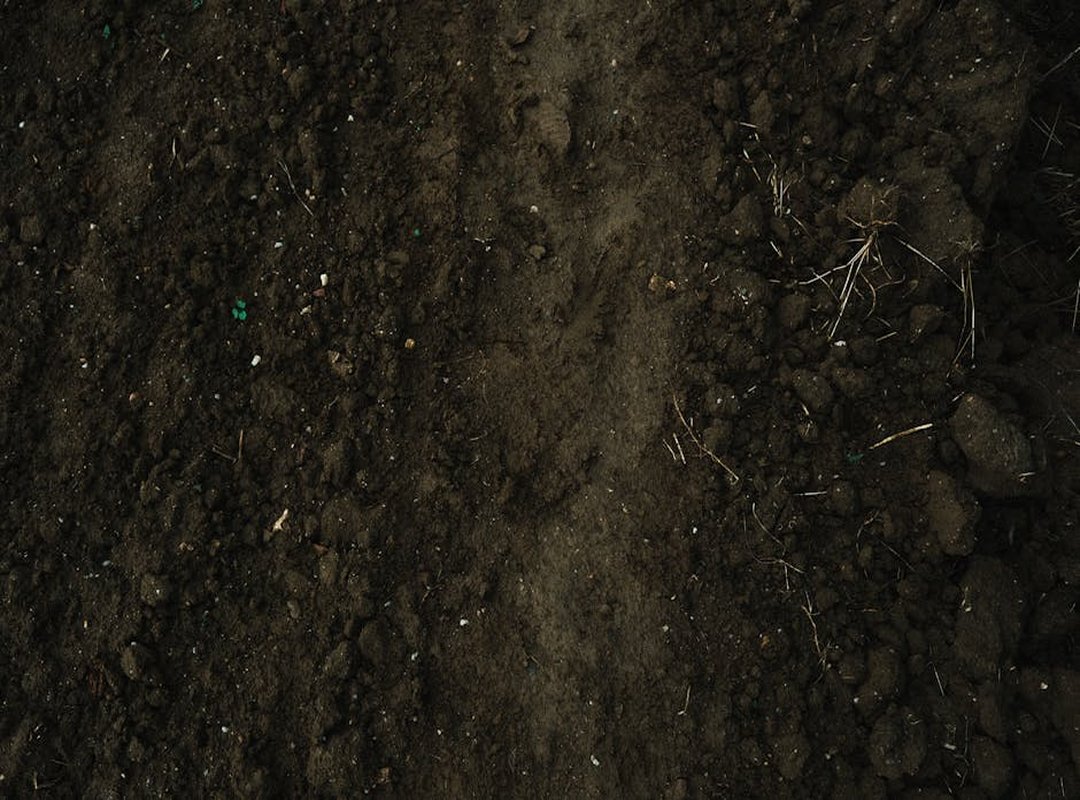 Appcyard Garden Guide by Activepropertycare