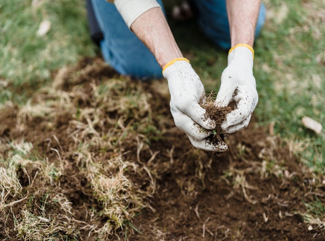 How Can I Remove Pesky Weeds Appcyard
