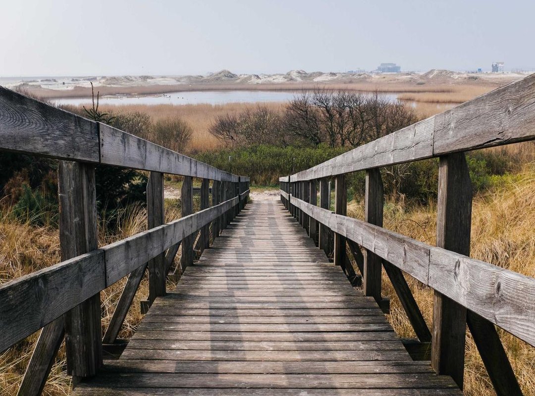 Analyzing His Main Income Streams: Music and Media