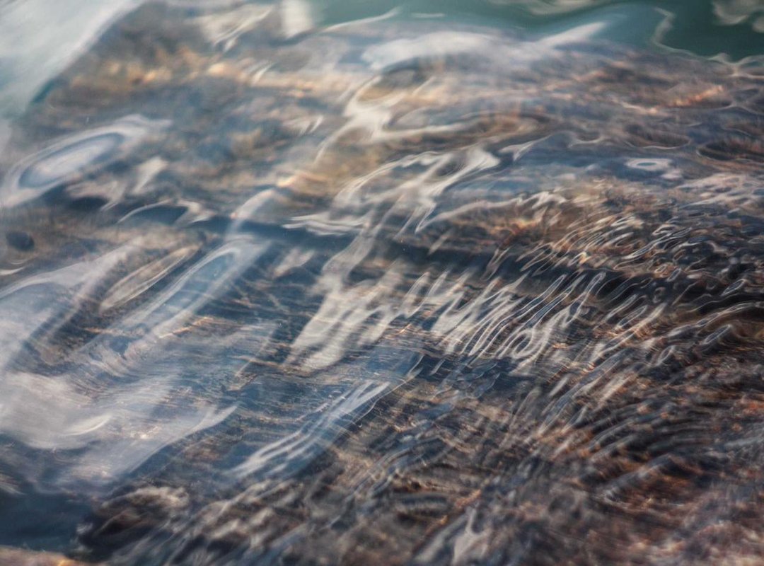 Warning Signs: How to Spot and Avoid Common Free Credit Scams