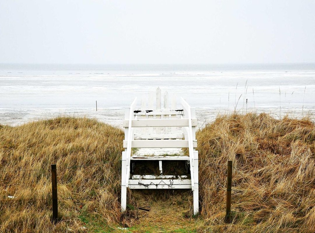 Frequently Asked Questions (FAQs)