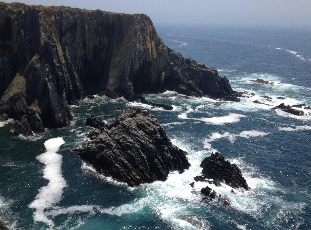 Low Burst Fade vs. Other Popular Fades: What's the Difference?