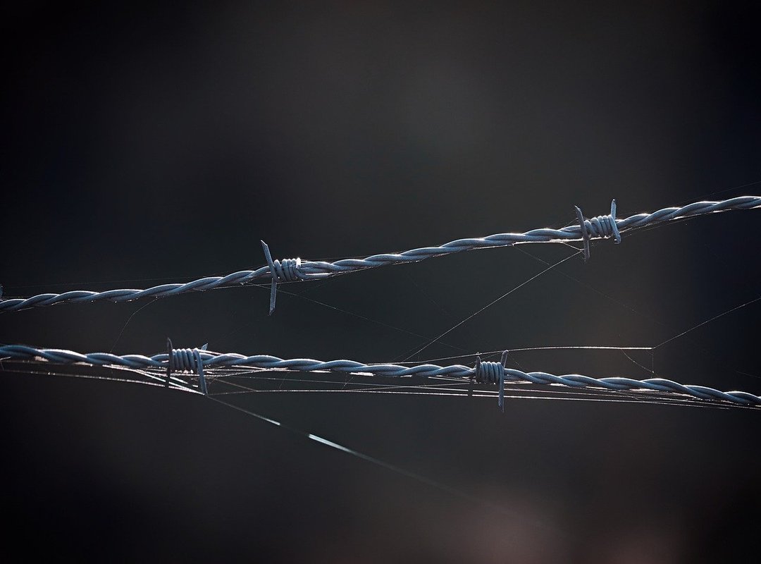 Practical Steps to Safeguard Your Digital Identity