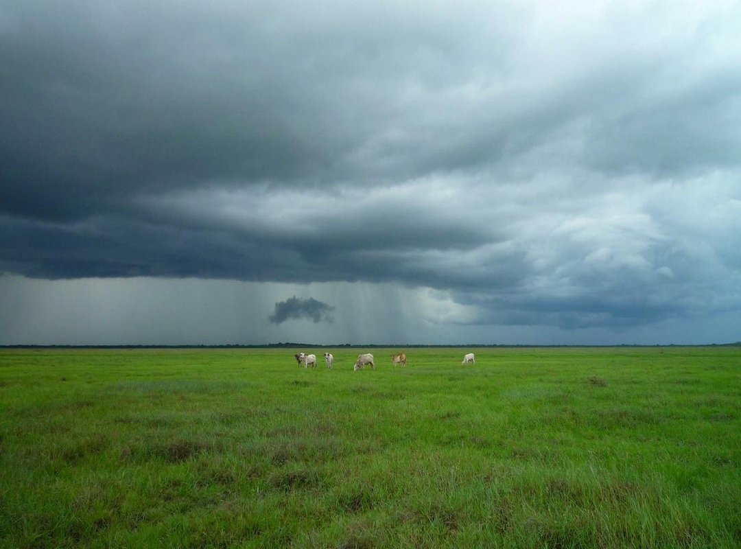 Beyond the Basics: Exploring Key Features of VJVJ