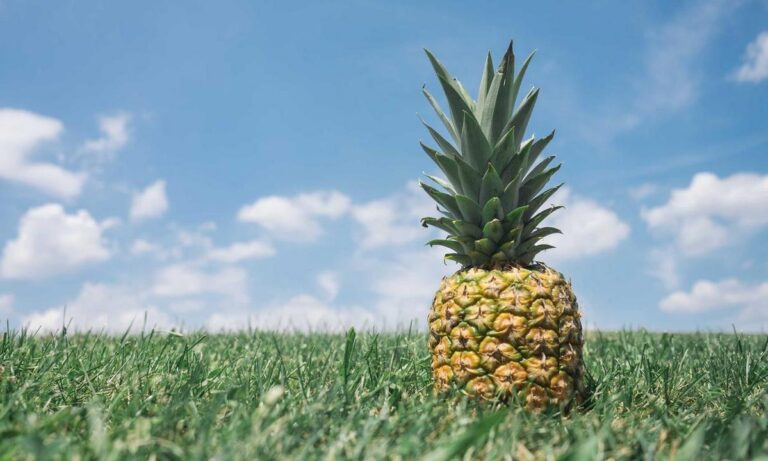 what are the benefits a private well appcgarden